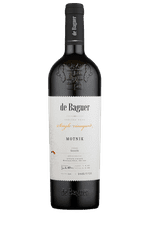 Klet Brda Vino Motnik Single Vineyard de Baguer 2017 Klet Brda 1,5 l