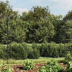 Vidaxl Mrežna ograja s prirobnico antracit 2x25 m