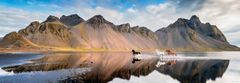 Heye Panoramska sestavljanka Horses of Iceland 1000 kosov