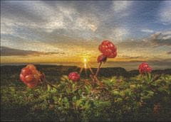 Heye Puzzle Robide 1000 kosov