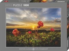 Heye Puzzle Robide 1000 kosov