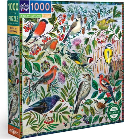eeBoo Kvadratna sestavljanka Birds of Scotland 1000 kosov