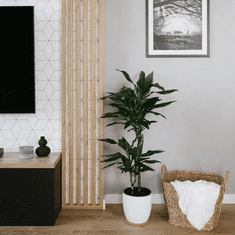 LAMEO 3D dekorativne lamele, lesene letvice za stena, strop ali predelna stena (3x4 cm) (hrast sonoma)