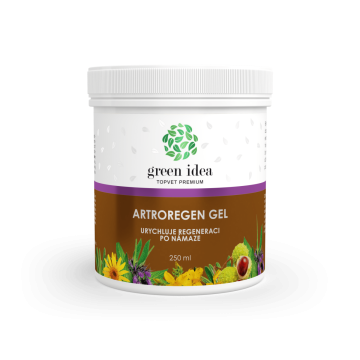 Green idea Artroregen masažni gel 250 ml