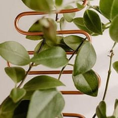Northix Opora za rastline nerjavna - cikcak 