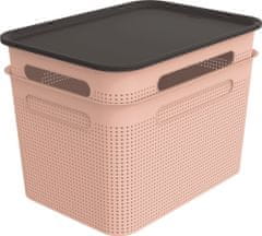 Rotho BRISEN škatla in pokrov, 2x16 L, roza