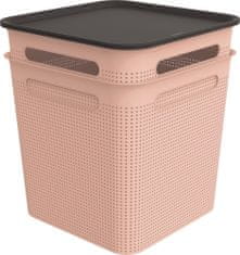 Rotho BRISEN škatla in pokrov, 2x18 L, roza