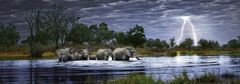 Heye Panoramska sestavljanka Elephant herd (Bocvana) 2000 kosov