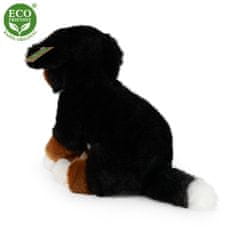 Rappa Plišasti bernski planšarski pes za sedenje 25 cm EKOLOŠKO PRIJAZNO