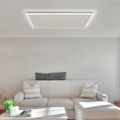 Byecold IR grelna plošča z LED lučjo HH-1006L 660W