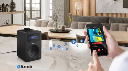 Sharp DR430BK prenosni DAB radio