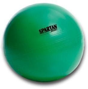 Greatstore Gimnastična žoga SPARTAN 65 cm