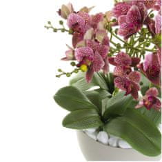 botle Roza umetna orhideja kaskadni šopek v velikem bež loncu domača pisarniška dekoracija pribl. 63 cm visoka