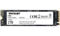 P300/2TB/SSD/M.2 NVMe/5R