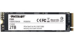 P300/2TB/SSD/M.2 NVMe/3R