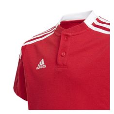 Adidas Majice rdeča S Tiro 21 Polo