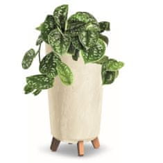 botle Cvetlični lonec z nogami, visok, lonci za rastline, premer 24 cm, kremasti plastični lonci, videz betona, lonci, denarno drevo, kaktusi, kavčukovec