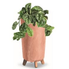 botle Cvetlični lonec z nogami visoki lonci za rastline D 24 cm terakota plastični lonci betonski videz lonci denarno drevo kaktusi gumijasto drevo