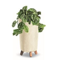 botle Cvetlični lonec z nogami, visok premer lonca za rastline 20 cm kremni plastični lonci betonskega videza lonci za denarce, kaktusi, gumijasto drevo