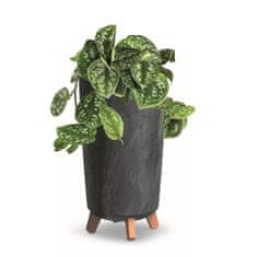 botle Cvetlični lonec z nogami visok lonec za rastline D 20 cm antracitni plastični lonci v videzu betona lonci za denarce kaktusi gumijasto drevo