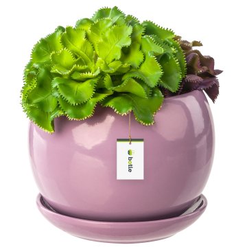 botle Cvetlični lonec cvetlični lonec roza krogla skleda za rože s krožničkom okrogel ŠxV 140 mm x 130 mm površinski sijaj keramika moderen glamur