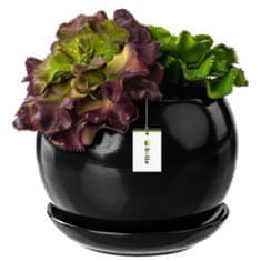 botle Cvetlični lonec cvetlični lonec črna krogla skleda za rože s krožničkom okrogel ŠxV 110 mm x 100 mm površinski sijaj keramika moderen glamur