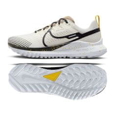 Nike Čevlji obutev za tek bež 44.5 EU DJ6158100