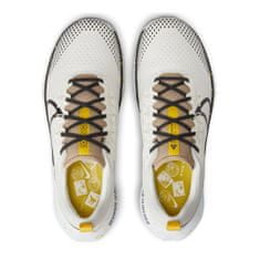 Nike Čevlji obutev za tek bež 44.5 EU DJ6158100