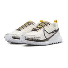 Nike Čevlji obutev za tek bež 42 EU DJ6158100