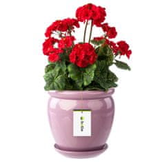 botle Cvetlični lonec roza cvetlični lonec s krožnikom okrogel DxV 280 mm x 305 mm površinski sijaj keramika moderen glamur
