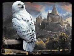 Prime 3D Puzzle Harry Potter: Hedwig 3D 300 kosov