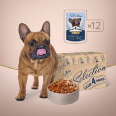 Club4Paws Premium  mokra hrana za pse malih pasem - losos in skuša 12x85 g