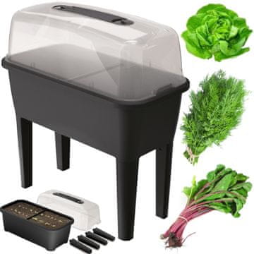 botle Mini rastlinjaki za gojenje loncev antracit 77x82 cm škatla za rastline škatla za rože s pokrovom dvignjena postelja cvetlični lonec gojenje zelenjave vrtnarjenje sadik svež urbani vrt vrt v hiši