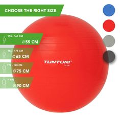 Tunturi Gimnastična žoga 65cm s črpalko, rdeča
