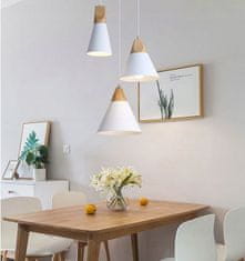 Toolight Stropna svetilka SCANDI SET CP Bela