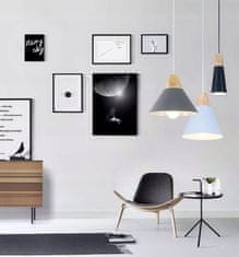 Toolight Stropna svetilka SCANDI C Bela