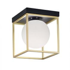 Toolight Stropna svetilka plafon APP1166-1C Gold White