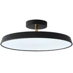 Toolight Nastavljiva viseča svetilka APP860-C 50 cm črna