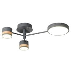 Toolight STROPNA SVETILKA SIVA APP530-3C