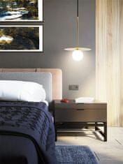 Toolight Svetilka Viseče senčilo 10cm APP939-1CP Zlato