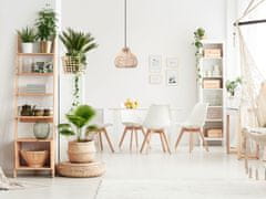 Toolight NARAVNA BOHO VISEČA STROPNA SVETILKA APP984-1CP MAJHNA