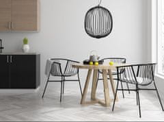 Toolight Viseča stropna svetilka APP967-1CP Black