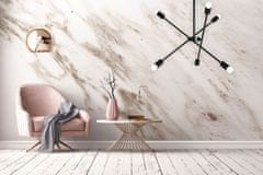 Toolight Viseča svetilka APP1114-6CP