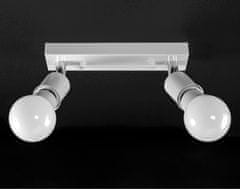 Toolight Stropni reflektor Plafonska svetilka APP695-2C Bela