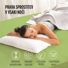 Vitapur set klasičnih vzglavnikov Aloe Vera ClimaFill, 2x 50x70 cm