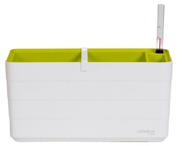 Plastia Škatla BERBERIS za samooskrbo z vodo + kati 40x20x20cm
