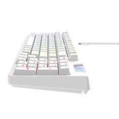 Havit Gaming tipkovnica Havit KB885L RGB (bela)