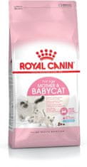 Royal Canin Royal Canin Mother &amp; Babycat 34 suha hrana za mačke 0,4 kg