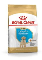 Royal Canin ROYAL CANIN SHN Breed Labrador Junior suha hrana za pse - 12 kg