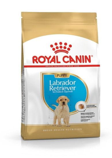 Royal Canin ROYAL CANIN SHN Breed Labrador Junior suha hrana za pse - 12 kg